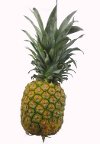 Ananas-Rezepte