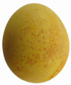Eier mit Kurkuma färben