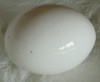 Stempel auf Eiern für gefärbte Ostereier entfernen
