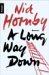 A long way down von Nick Hornby