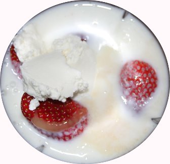 die Zutaten fr den Erdbeer-Vanille-Shake