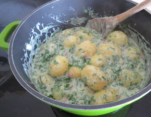  Bchamelkartoffeln selber machen