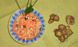 Topanimbur-M�hren-Salat