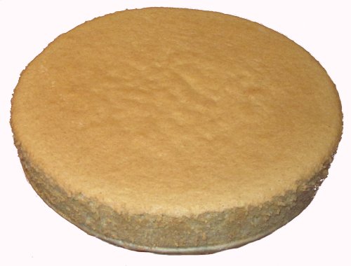 Bisquitboden
