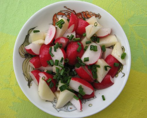 Apfel-Radieschen-Salat