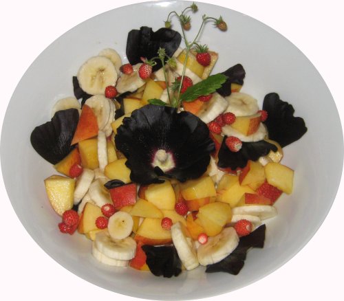 der sch�nste Obstsalat der Welt