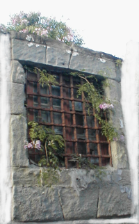 Fenster einer Ruine