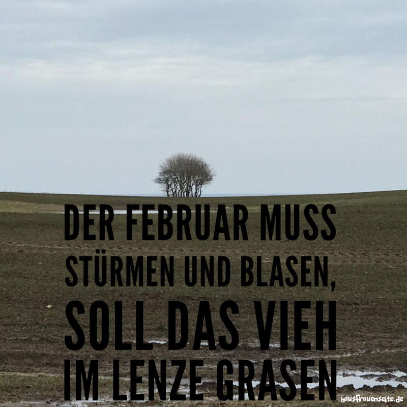 Der Februar muss strmen und blasen, soll das Vieh im Lenze grasen