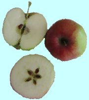Apfel-Küchentipps