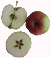 Äpfel als Hausmittelchen