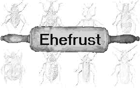 Ehefrust