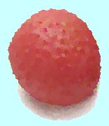 Litchi Lychee