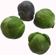 Rosenkohl