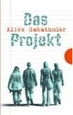 Das Projekt von Alice Gabathuler