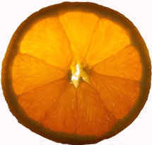 Apfelsinenscheibe