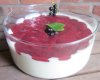 Quarkspeise mit Johannisbeeren