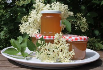 Apfel-Holunderblten-Gelee