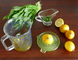 Bärlauchdressing Rezepte