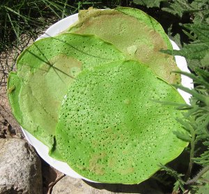 Brlauchpfannkuchen pur