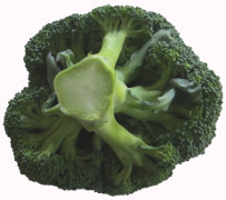 Brokkoli-Rezepte
