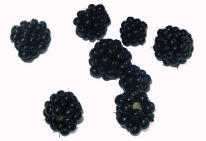 Brombeeren