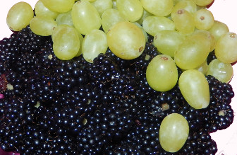 Brombeeren und Weintrauben fr unseren Brombeersaft