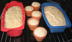 Gewrzbrtchen vor dem Backen