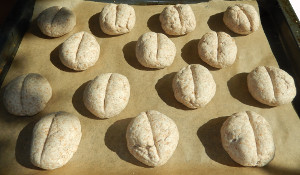 Vollkornbrtchen selber backen