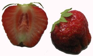 Erdbeeren