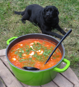 Tomaten-Fischsuppe mit Labrador