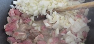 Fleisch, Zwiebeln und Knoblauch anbraten