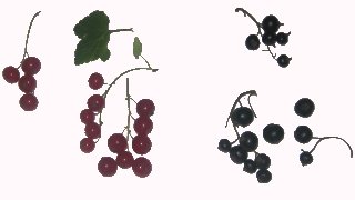 Johannisbeeren