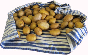 Kartoffeln waschen und trocknen