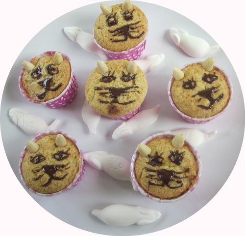 Katzen-Muffins