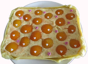 Aprikosenkuchen mit frischen Aprikosen, Quark und Schmand