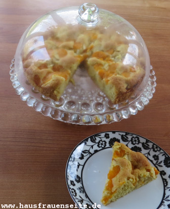 Fallkuchen mit Apfel und Mandarinchen