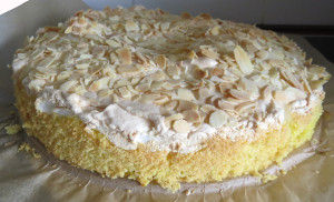 Schwimmbadtorte Rezept