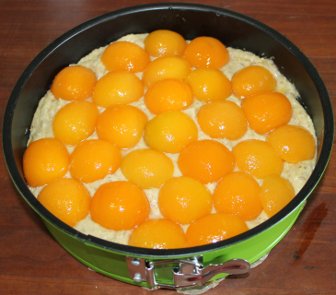 Aprikosen-Nuss Kuchen Rezept