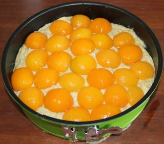 Aprikosen-Nuss Kuchen Rezept