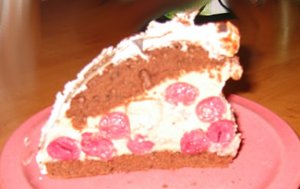 ein Stck Schokoladenkuppeltorte