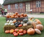 Krbisse auf dem Herbstmarkt