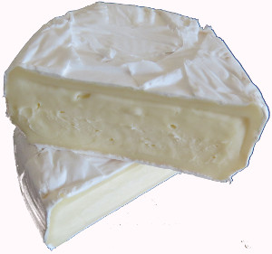 Camembert