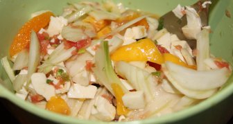 Orangen-Fenchelsalat mit Mozzarella