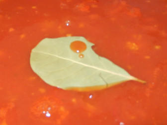 Lorbeerblatt in Tomatensuppe