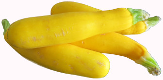 gelbe Zucchini