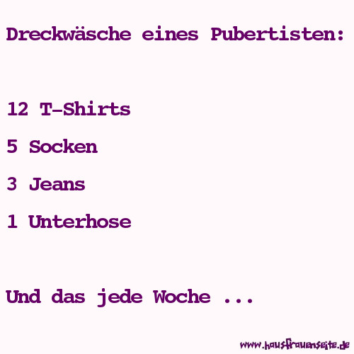 Dreckwsche eines Pubertisten: 12 T-Shirts 5 Socken 3 Jeans 1 Unterhose und das jede Woche ...