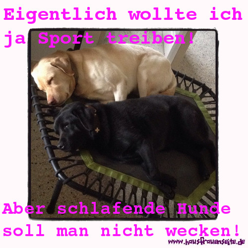 Eigentlich wollte ich ja sport treiben, aber schlafende Hunde soll man nicht wecken!