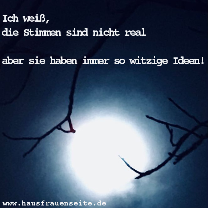 Ich wei, die Stimmen sind nicht real - Vollmond