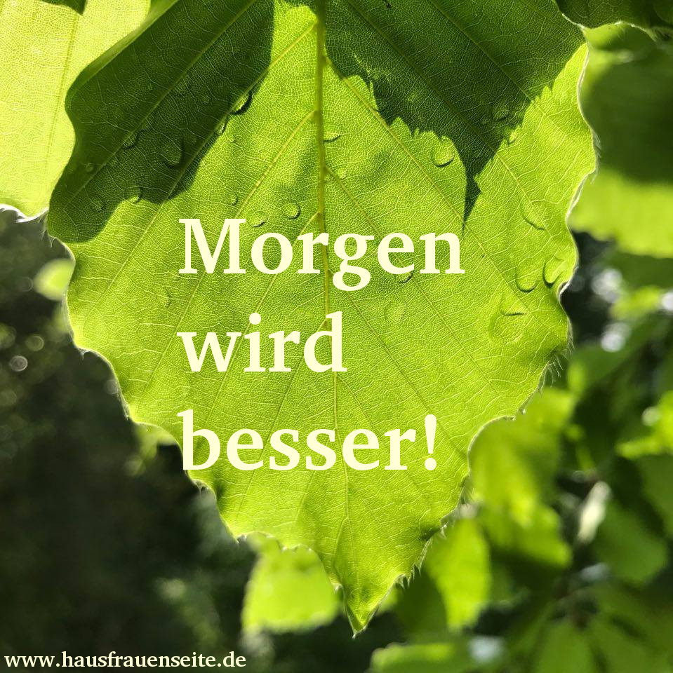 Morgen wird besser!