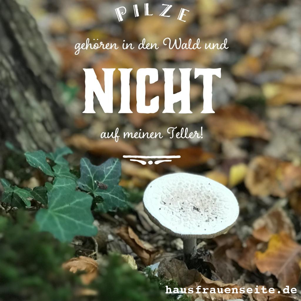 Pilze gehren in den Wald und nicht auf meinen Teller!